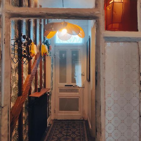 Jolie Maison En Bois Authentique 敦刻尔克 外观 照片